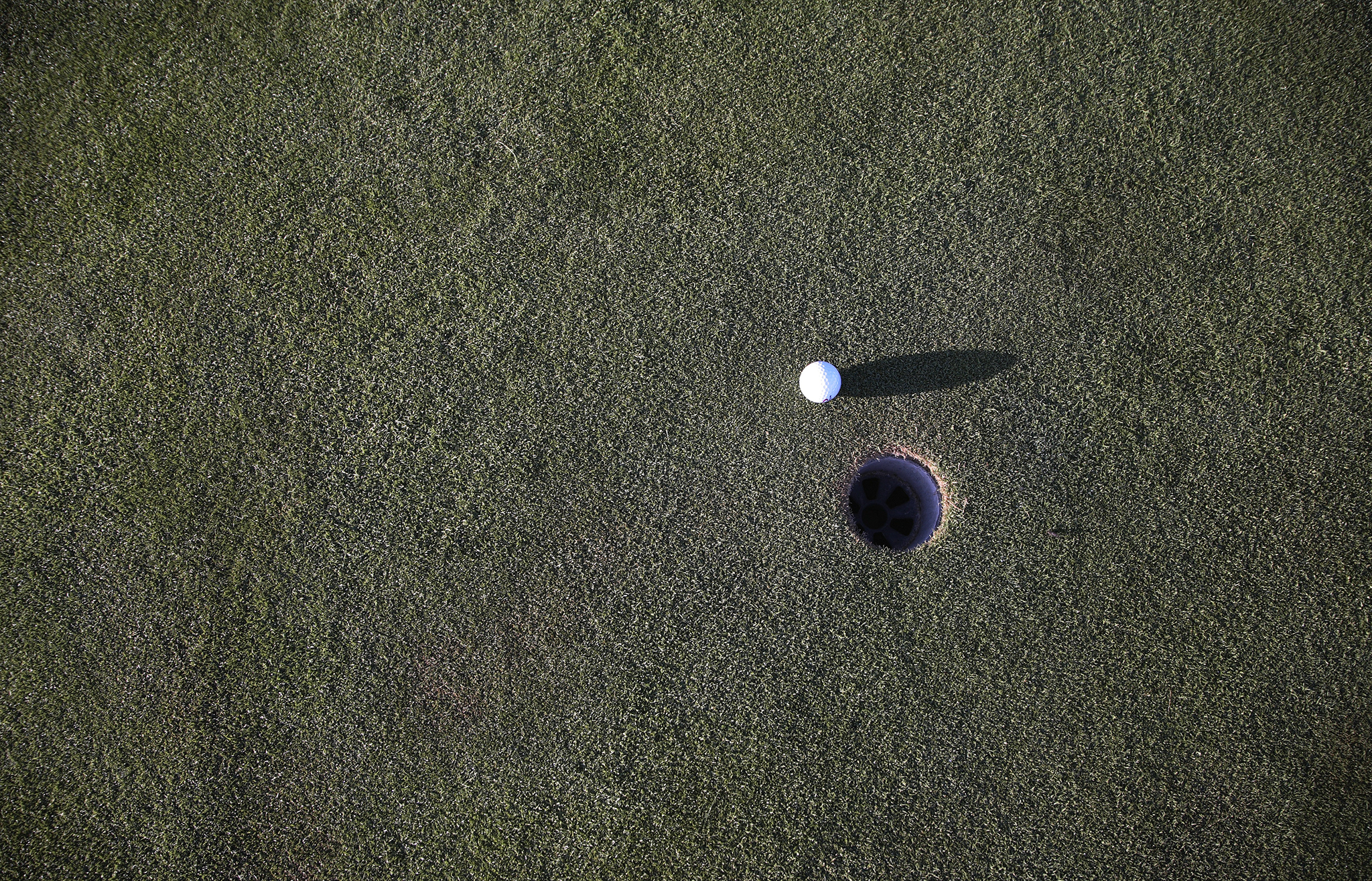 Image of golf ball on tee on grass.